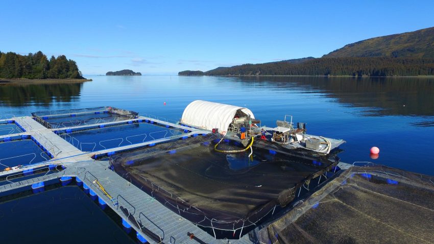 Aquaculture Water Treatment Systems Market