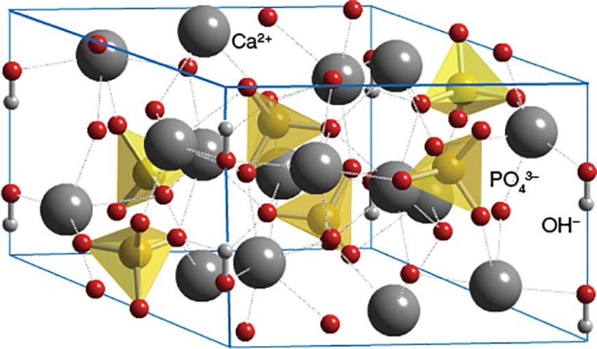Hydroxyapatite Market