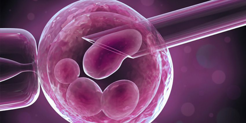 Preimplantation Genetic Diagnosis Market