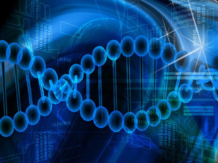 BIOINFORMATICS PLATFORMS MARKET