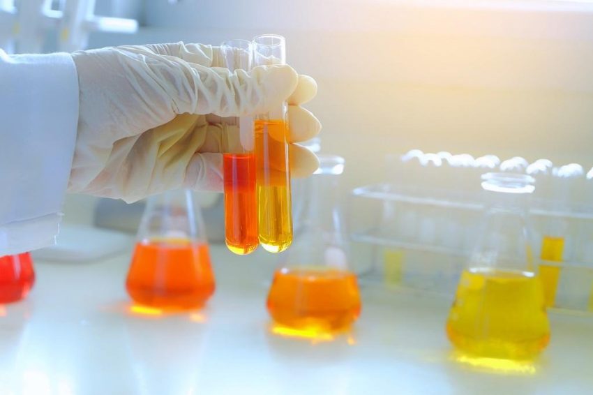 Biodiesel Catalyst Market