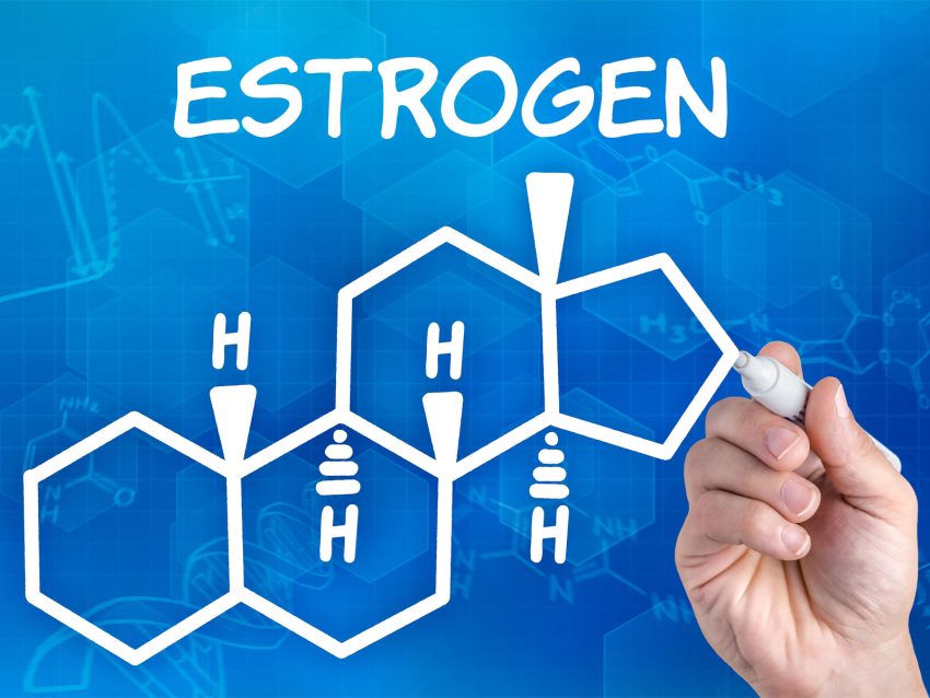 Estrogen Blockers Market