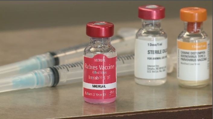 Rabies Antiserum Market