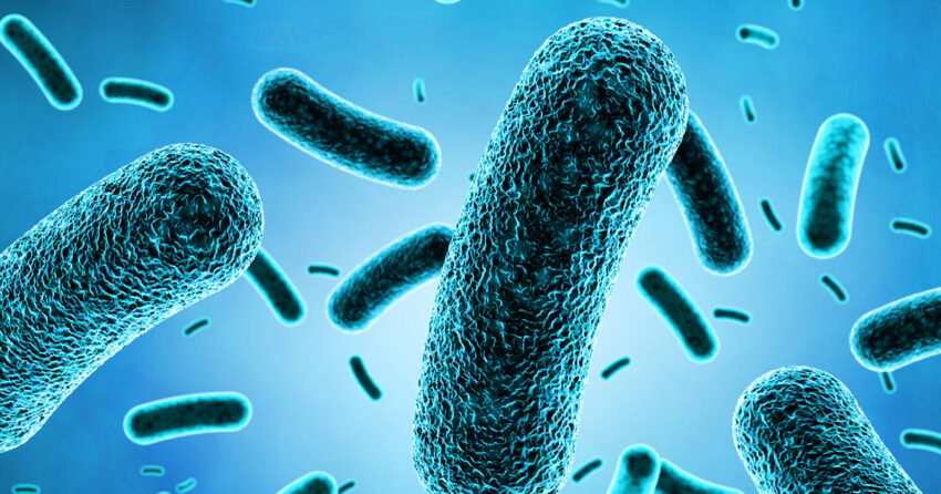 Antimicrobial Additives Market