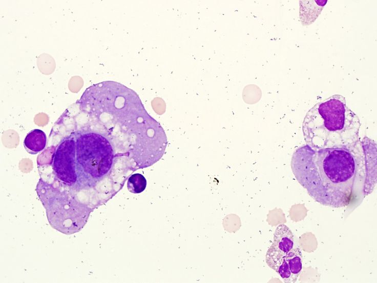 Histology and Cytology