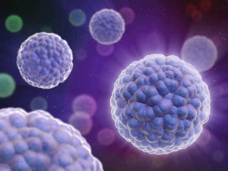 Orthobiologics Market