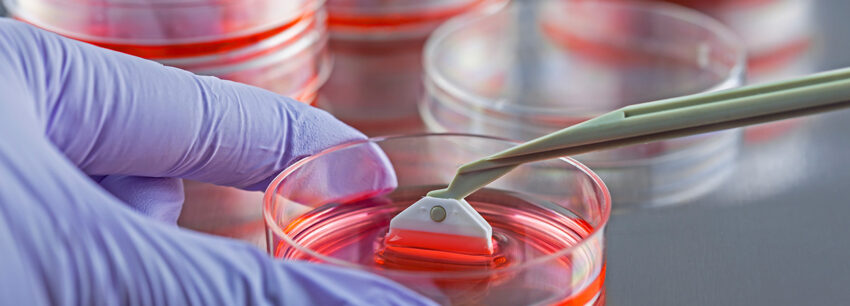 Tissue engineering Market