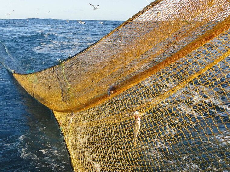Trawl Ropes And Nets Market