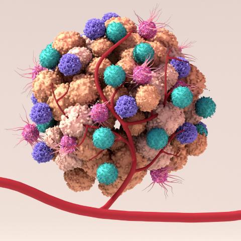 Tumor Microenvironment Market