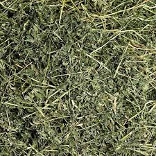 Alfalfa Hay Market