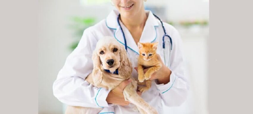 Animal Healthcare Market