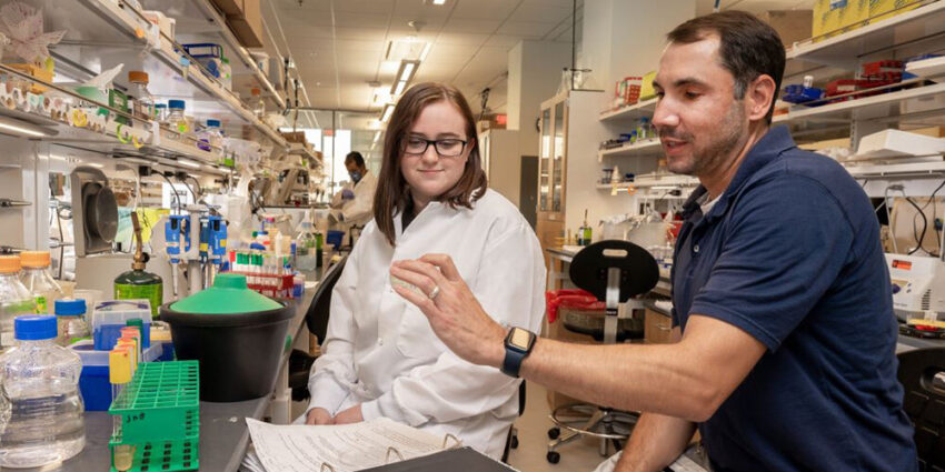 Antimicrobial Therapeutics Market