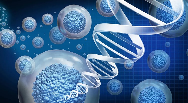 Cell Expansion Market