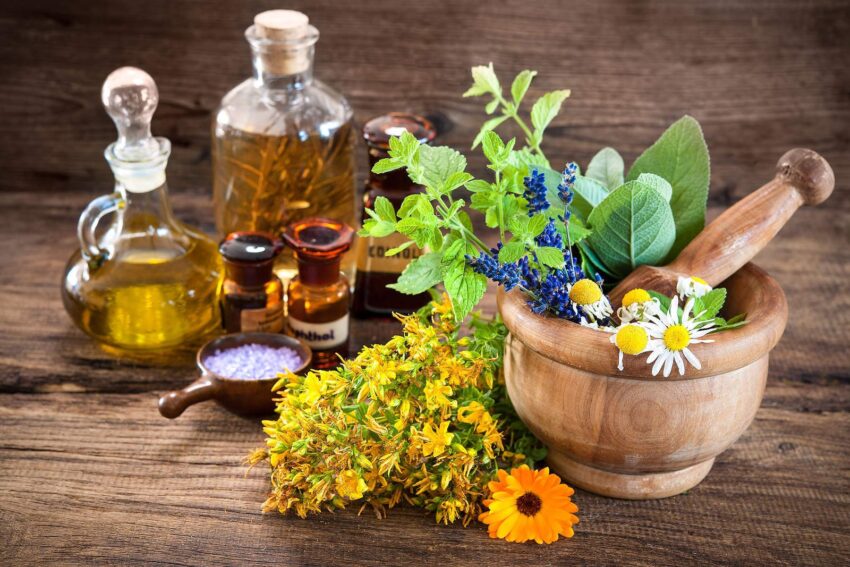 Herbal Medicinal Products Market