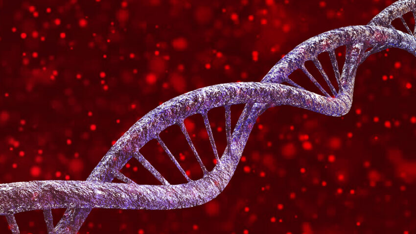 Isothermal Nucleic Acid Amplification Technology (INAAT) Market