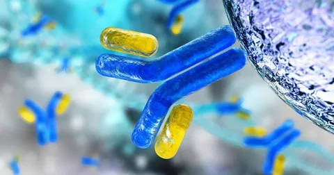 Monoclonal Antibody Therapeutics Market