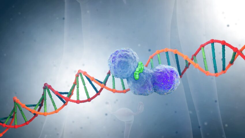 PARP Inhibitor Market