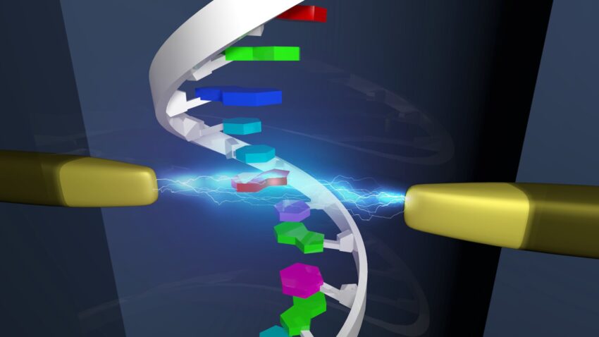 Single Cell Genome Sequencing Market