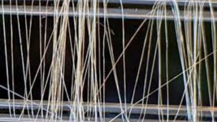 Synthetic Spider Silk Market