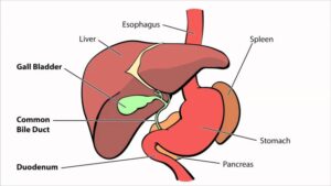 Biliary Atresia Treatment Market 