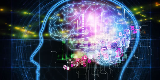 Cognitive Revolution