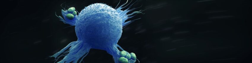 Macrophage Marker Market