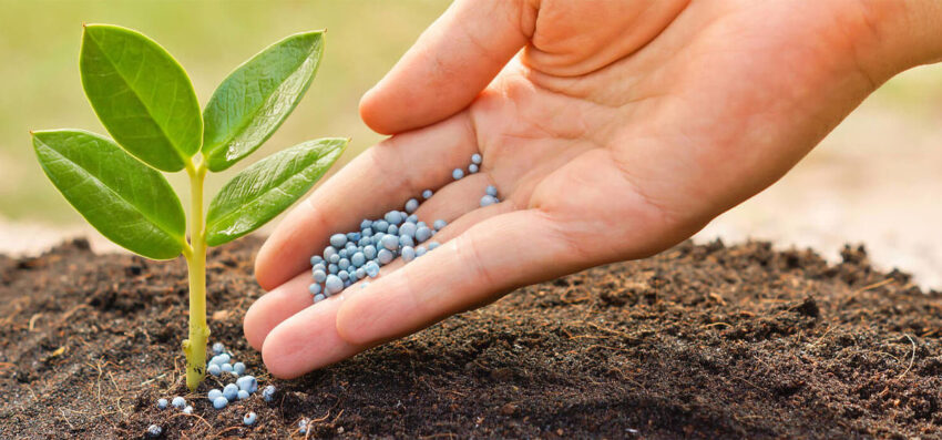 Micronutrients Fertilizers Market