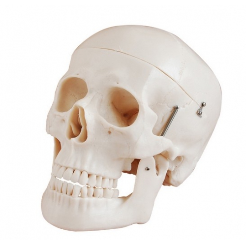 PEEK Implants Market