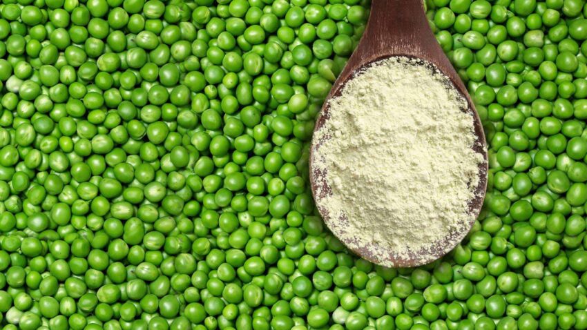 Pea Protein Market