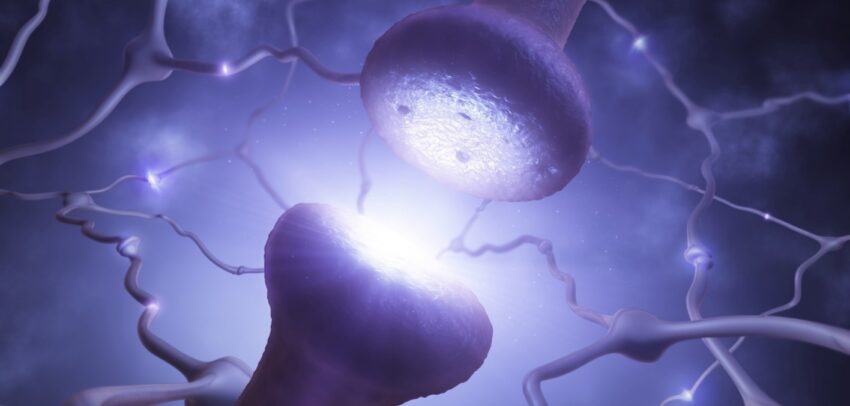 Plasma Protease C1-Inhibitor Treatment Market