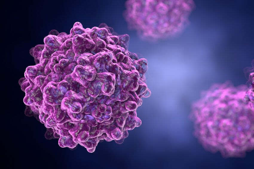 Plasmid DNA Manufacturing Market