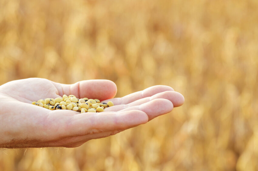 Seed Treatment Market