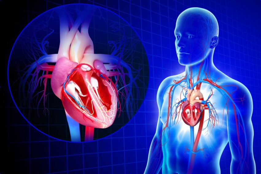 Cardiovascular Information System Market