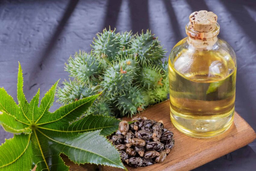 Castor Oil Derivatives Market