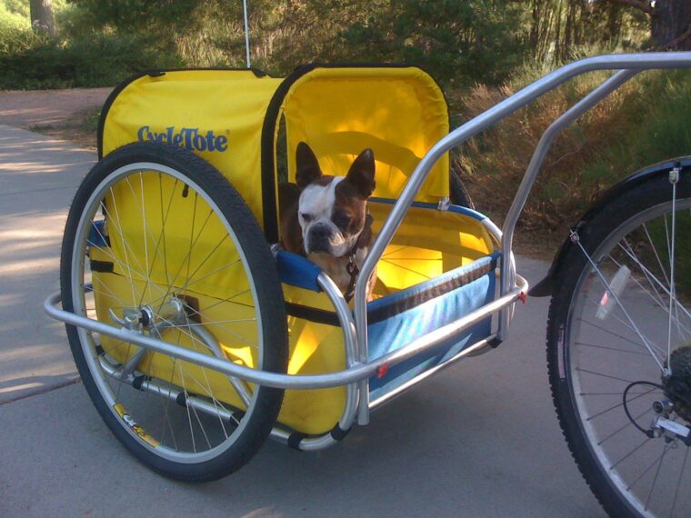 Dog Bicycle Trailer Market