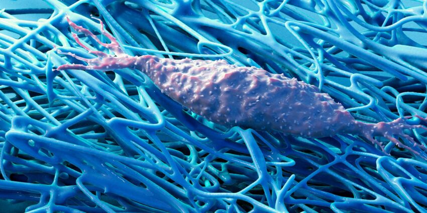 Extracellular Matrix Market