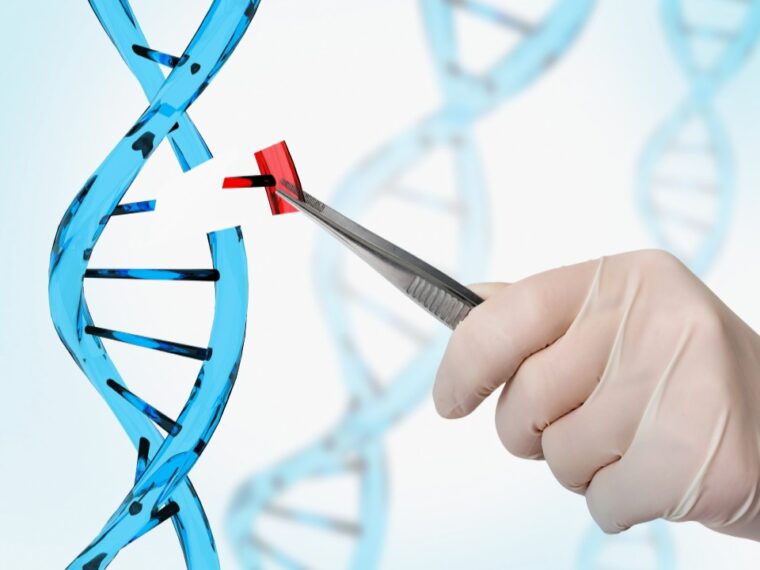Genome Engineering Market