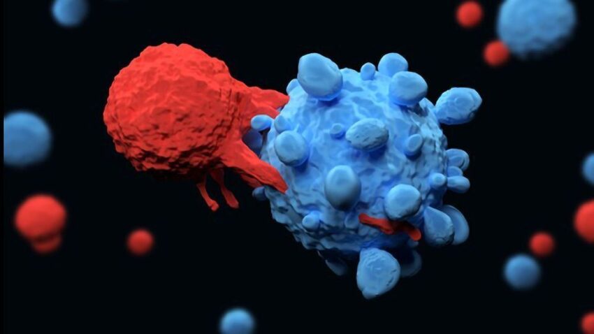 Macrophage Marker Market
