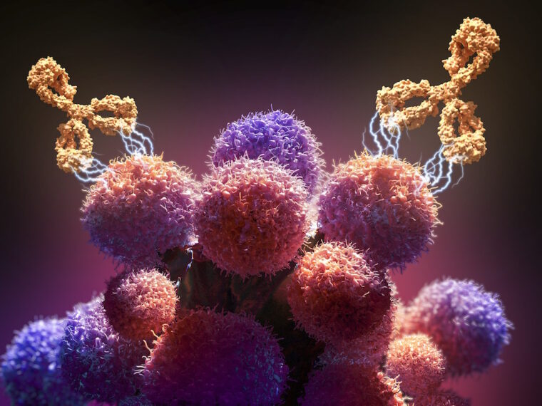 Monoclonal Antibody Therapeutics Market