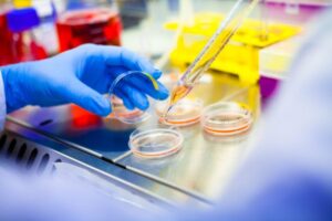 Stem Cell Manufacturing Market
