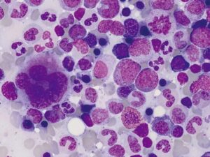 Histology and Cytology Market