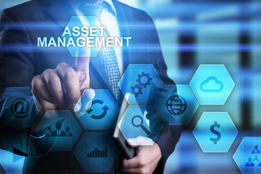 IT Asset Management Software Market