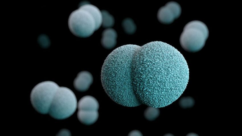 New Findings On The Effect Of Sex Hormones On Gonorrhea Resistance To Antibiotics