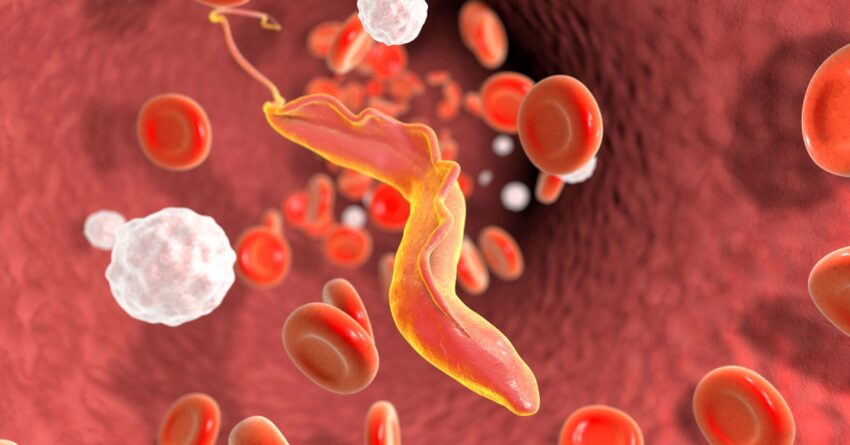 Chagas Disease Treatment