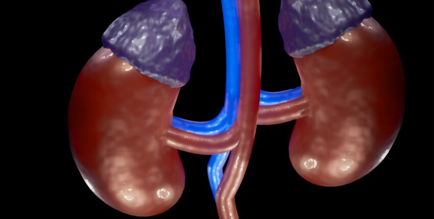 Diabetic Kidney Disease