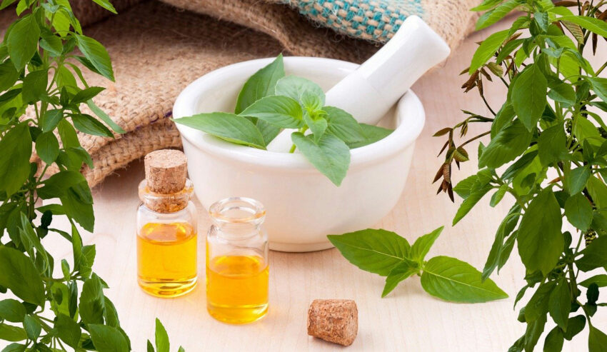 Herbal Extract Market