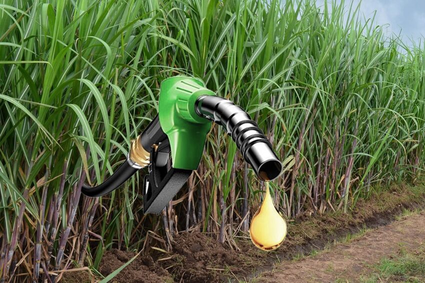 Brazil Flexfuel Cars