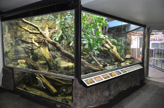 Reptile Enclosure