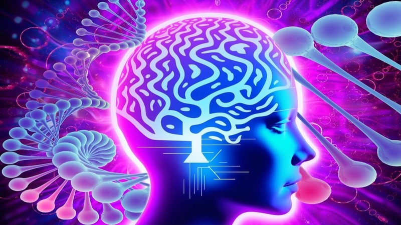 Neuroregeneration Therapy Market