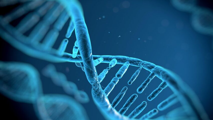 Plasmid DNA Manufacturing Market